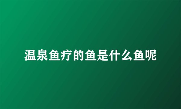 温泉鱼疗的鱼是什么鱼呢