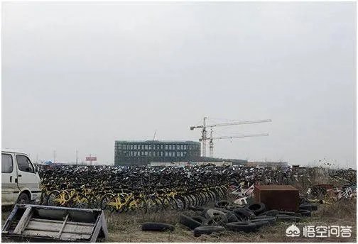 南京，真的是共享单车“死城”了吗？
