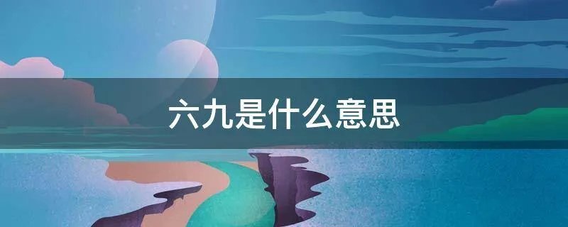 六九是什么意思