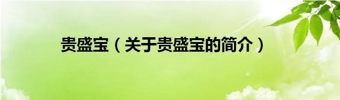 贵盛宝（关于贵盛宝的简介）