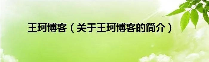 王珂博客(关于王珂博客的简介)