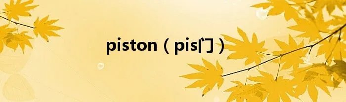 piston（pis门）