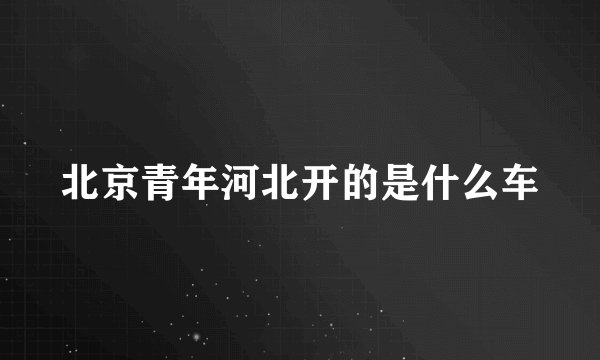 北京青年河北开的是什么车