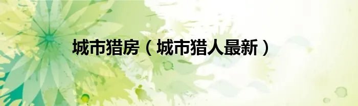 城市猎房(城市猎人最新)