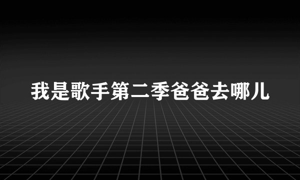我是歌手第二季爸爸去哪儿