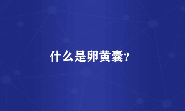 什么是卵黄囊？
