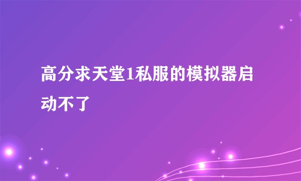 高分求天堂1私服的模拟器启动不了