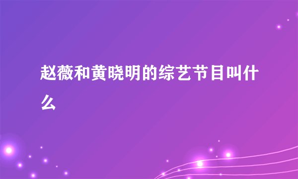 赵薇和黄晓明的综艺节目叫什么