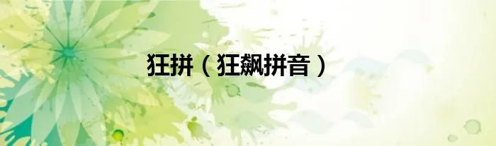 狂拼（狂飙拼音）