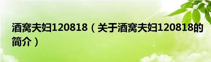 酒窝夫妇120818（关于酒窝夫妇120818的简介）