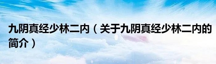 九阴真经少林二内（关于九阴真经少林二内的简介）