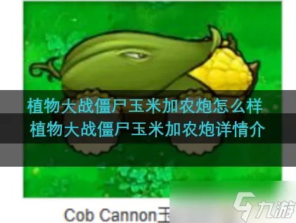 植物大战僵尸玉米加农炮怎么样 植物大战僵尸玉米加农炮详情介绍