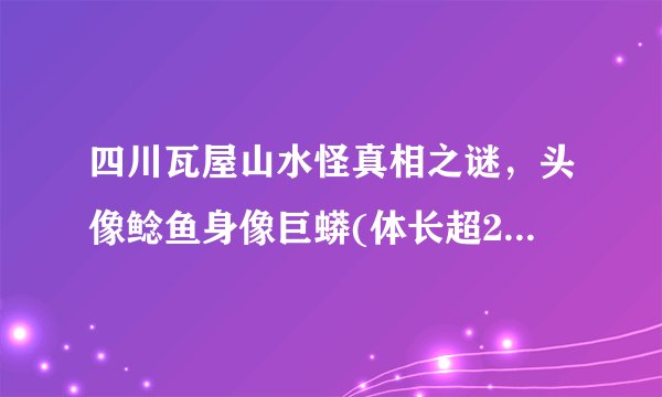 四川瓦屋山水怪真相之谜,头像鲶鱼身像巨蟒(体长超20米)—飞外