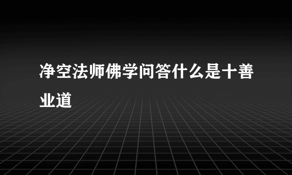 净空法师佛学问答什么是十善业道
