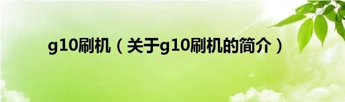 g10刷机（关于g10刷机的简介）