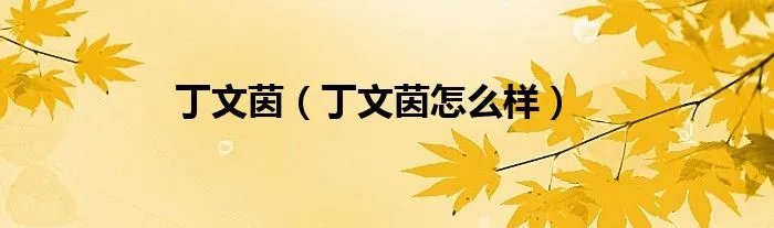 丁文茵（丁文茵怎么样）
