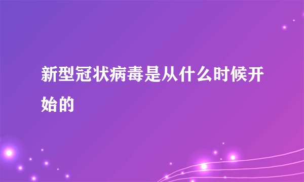 新型冠状病毒是从什么时候开始的