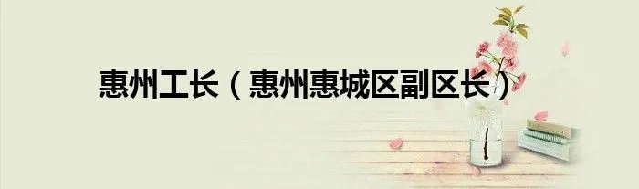 惠州工长（惠州惠城区副区长）