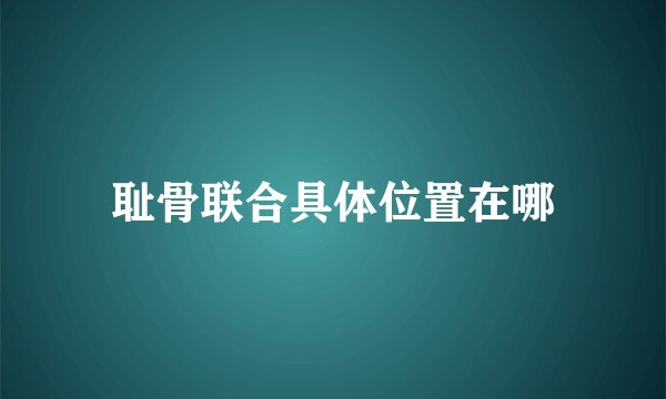 耻骨联合具体位置在哪