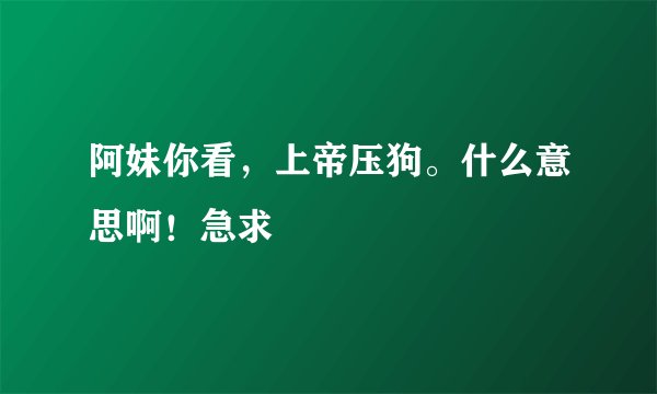 阿妹你看，上帝压狗。什么意思啊！急求