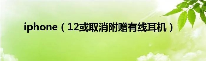 iphone（12或取消附赠有线耳机）