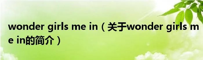 wonder girls me in（关于wonder girls me in的简介）