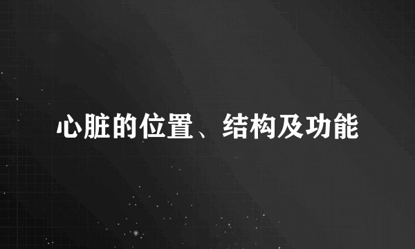 心脏的位置、结构及功能