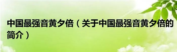 中国最强音黄夕倍（关于中国最强音黄夕倍的简介）