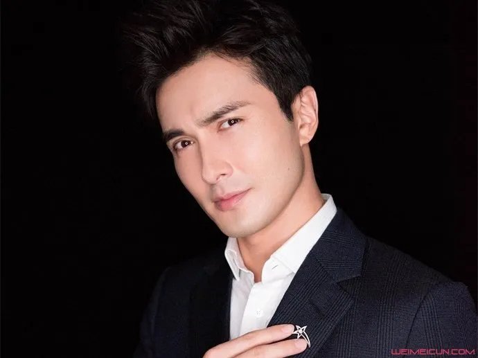 高伟光结婚了吗有妻子吗 老婆是杨吟吟的说法真假