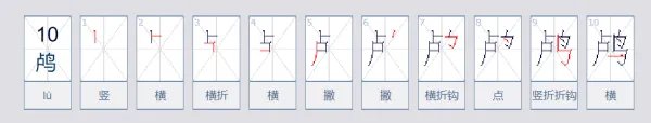 鸬鹚这怎么读？