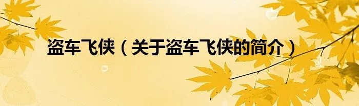 盗车飞侠（关于盗车飞侠的简介）