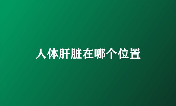 人体肝脏在哪个位置