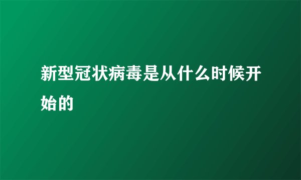 新型冠状病毒是从什么时候开始的