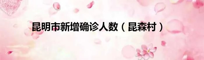 昆明市新增确诊人数（昆森村）