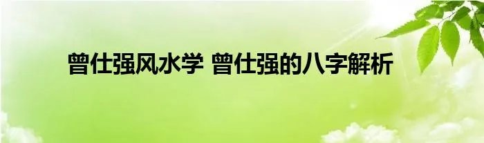 曾仕强风水学 曾仕强的八字解析