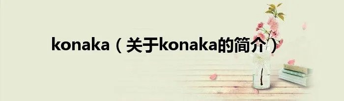 konaka(关于konaka的简介)