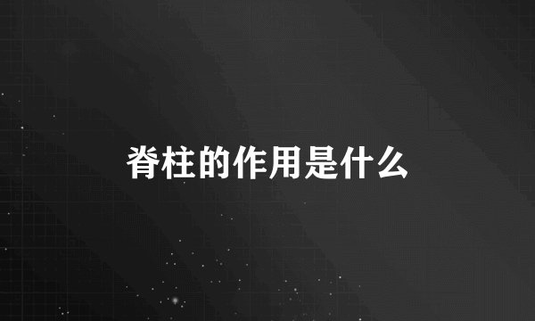 脊柱的作用是什么