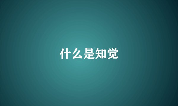 什么是知觉