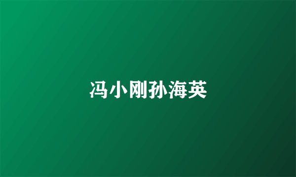 冯小刚孙海英