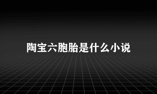 陶宝六胞胎是什么小说