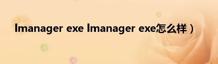 lmanager exe lmanager exe怎么样）