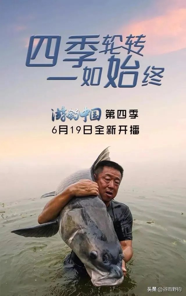 除了《游钓中国》,你还喜欢什么钓鱼类视频?