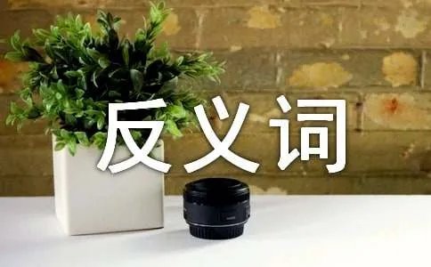 懒惰的反义词