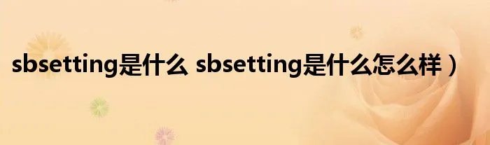 sbsetting是什么 sbsetting是什么怎么样）