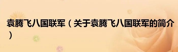 袁腾飞八国联军（关于袁腾飞八国联军的简介）