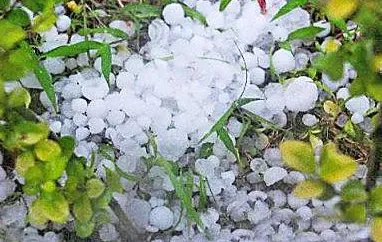 安徽湖南风雹灾害造成了什么损失？