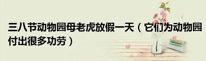三八节动物园母老虎放假一天（它们为动物园付出很多功劳）