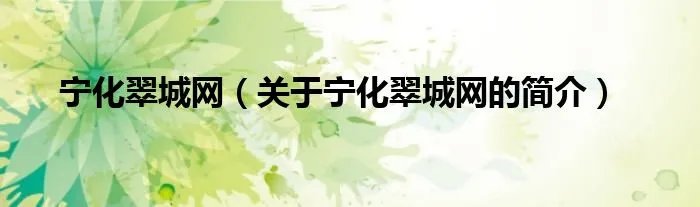 宁化翠城网（关于宁化翠城网的简介）