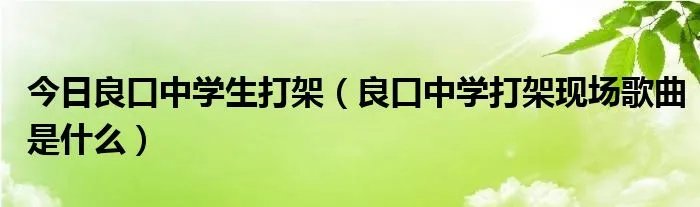 今日良口中学生打架（良口中学打架现场歌曲是什么）