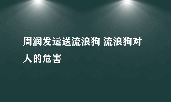 周润发运送流浪狗 流浪狗对人的危害